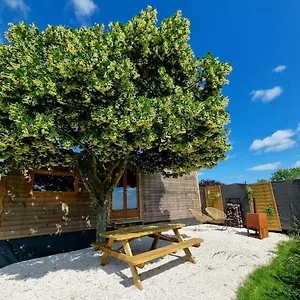Tiny House Petite Balneo Cheminee Exterieure Chalet